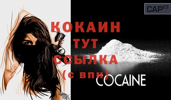 ECSTASY Бородино