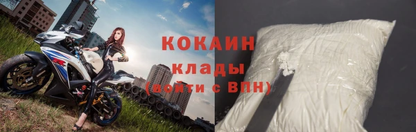 ECSTASY Бородино