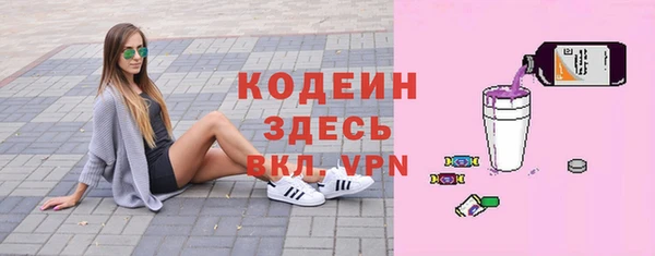 ECSTASY Бородино