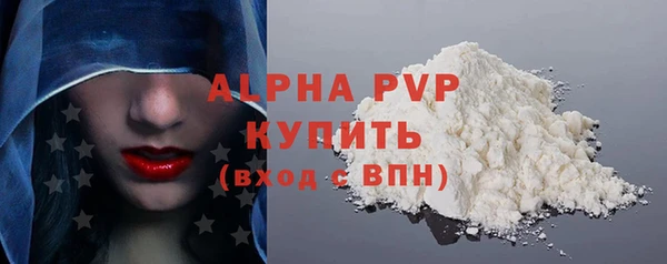 ECSTASY Богданович