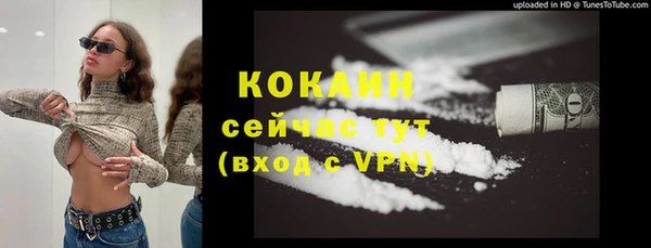 ECSTASY Бородино