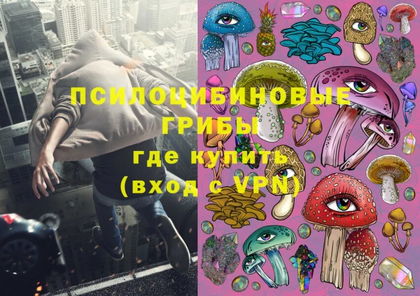 Альфа ПВП Бугульма