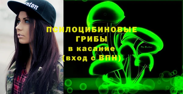 Альфа ПВП Бугульма