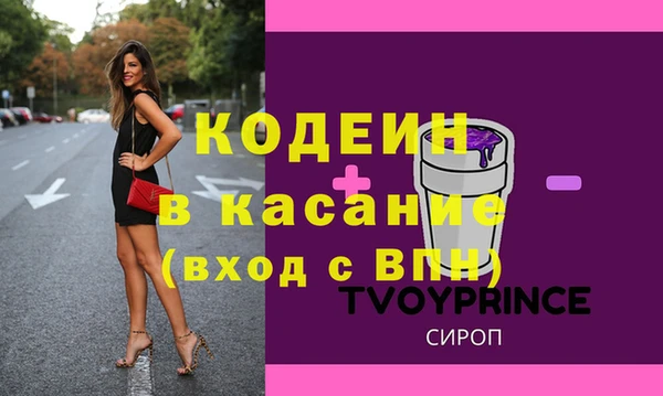 ECSTASY Бородино